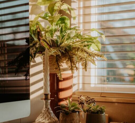 How to Create a Relaxing Home Workspace