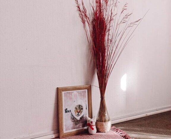 How to Set Up a Pet-Friendly Home Corner