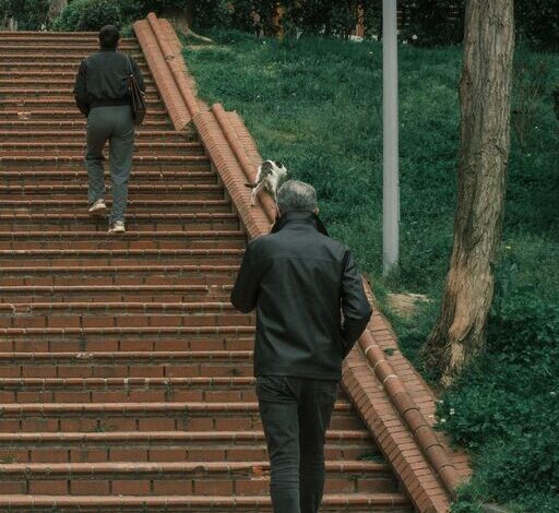 Easy Ways to Add More Movement to Your Day