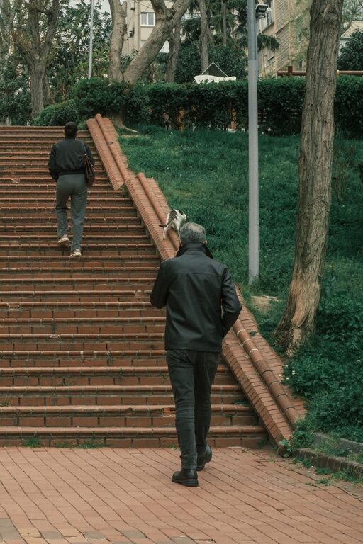 Easy Ways to Add More Movement to Your Day